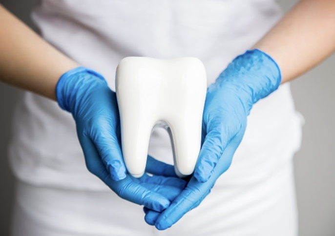 Hands in blue gloves holding a tooth model